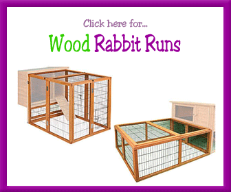 Outdoor Rabbit Run