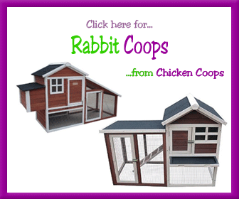 Rabbit Coop