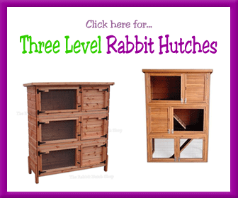 Triple Rabbit Hutch
